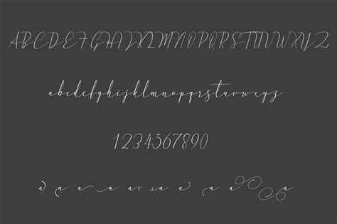 .this font is free for personal use. Absolute (75372) | Script | Font Bundles