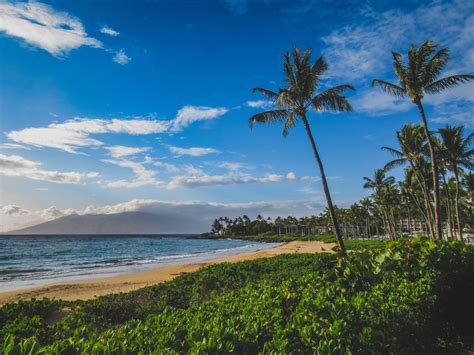 Your Perfect Day In Paradise At Wailea Beach Best Beaches In Maui