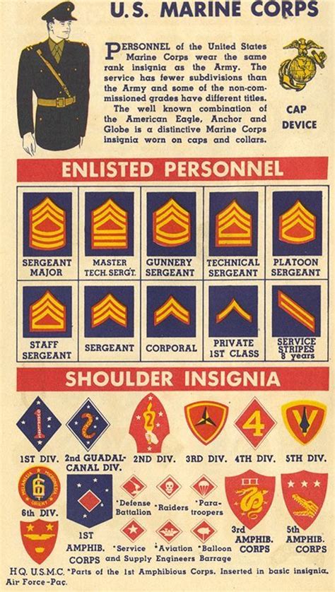 usmc insignia circa 1942 marine corps ranks military insignia military design