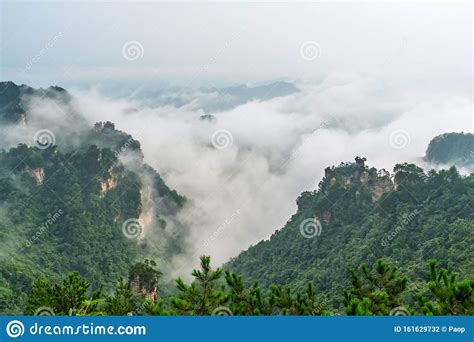 Tianzi Mountains Covered In Mist In Zhangjiajie Stock Photo Image Of