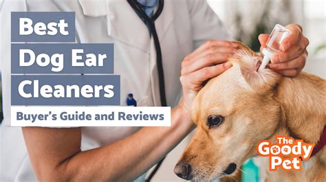8 Best Dog Ear Cleaners For Infections And Yeast November 2019