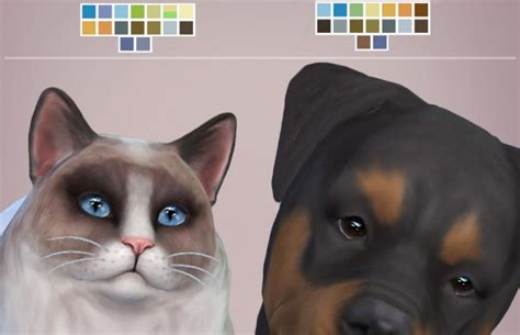 Mod The Sims Real Eyes Cats And Dogs By Kellyhb5 • Sims 4 Downloads