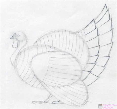 磊 2750Los mejores dibujos de pavos para colorear Dibujos para