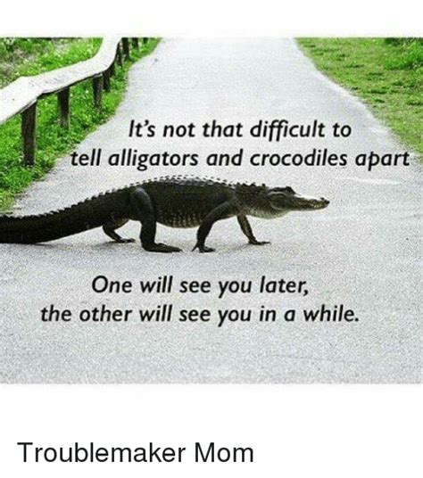 Its Not That Difficult To Tell Alligators And Crocodiles Apart One