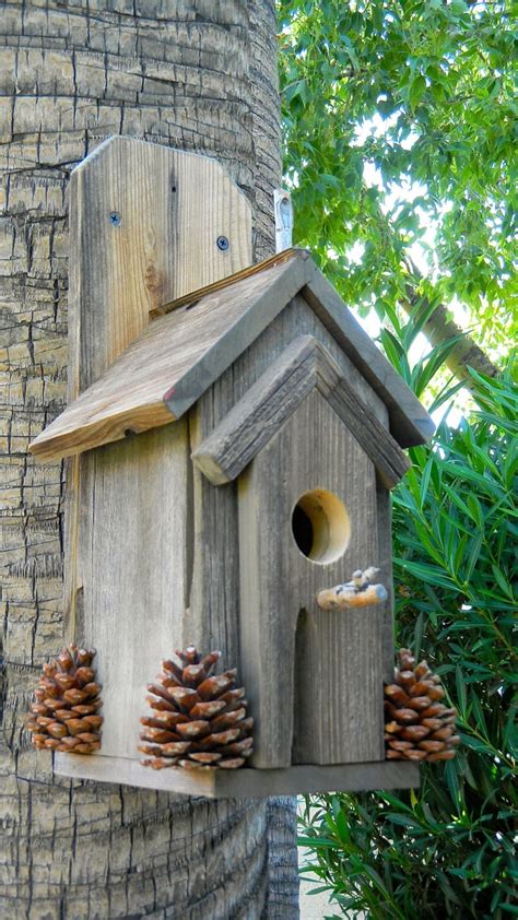 17 New Bird Houses Outdoor