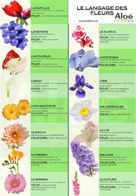 Décryptez le langage des fleurs et des couleurs et passez le bon