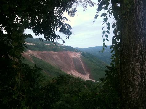 Deforestation In Haiti Tek4kids