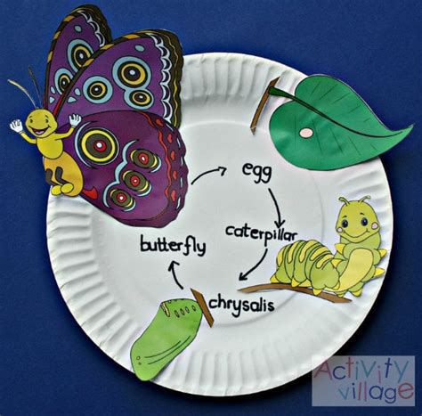 Paper Plate Butterfly Life Cycle