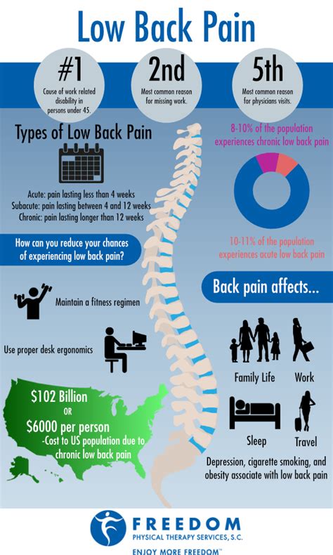 The Freedom Physical Therapy Services Blog Low Back Pain Infographic