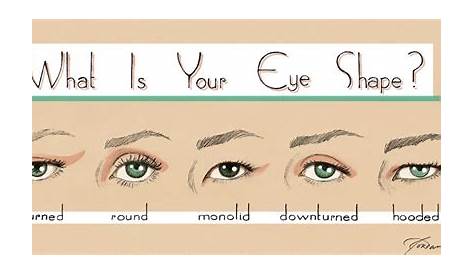 eye shapes chart female
