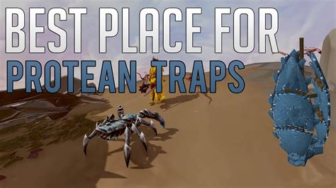 The traps can be used as a stackable. The best place to use Protean Traps in Runescape 3 - YouTube