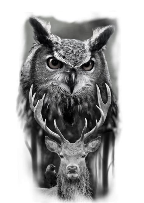 Pin By Valentin Shtz On Ззз Realistic Owl Tattoo Animal Tattoos Owl