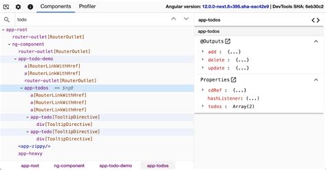 Devtools Angular Dev Tools State Pre Set Stack Overflow