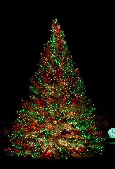 60 Most Popular Christmas Tree Decorations Ideas A Diy