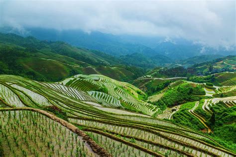 Longsheng Longji Rice Terraces Guilin Attractions China Top Trip