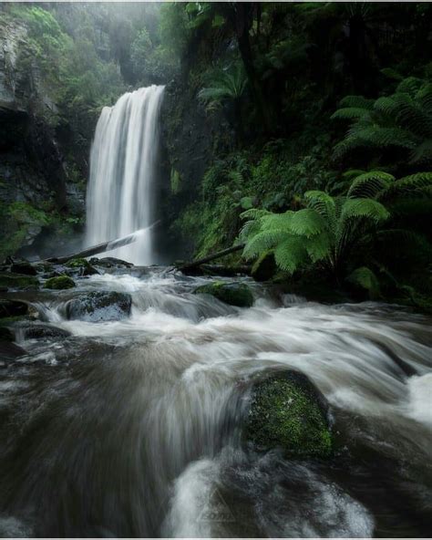Photo By Iso100photography The Great Otway National Park Stretches