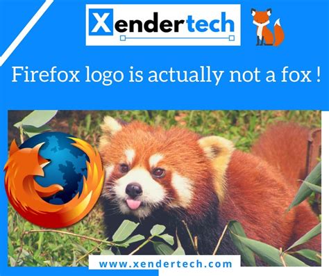 Firefox Logo Red Panda 2021