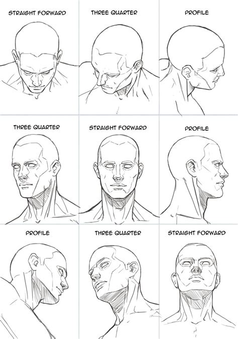 Pin by 文昌 鄭 on reference Human anatomy art Anatomy sketches Anatomy art