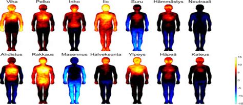 Emotions Mapped In The Body World Map
