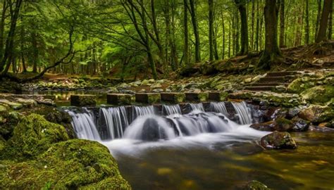 Natural Images Hd 1080p Download With Waterfall In Tollymore Forest