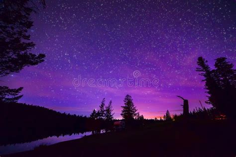 Purple Stary Night Sky Over Forest And Lake Stock Photo Image Of