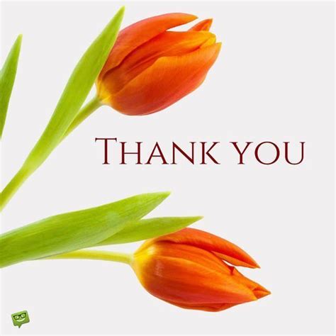Best Thank You Replies To Birthday Wishes Thank You Quotes Gratitude