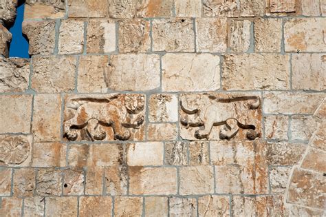 The Proud Lions Of Jerusalem In Pictures Touchpoint Israel