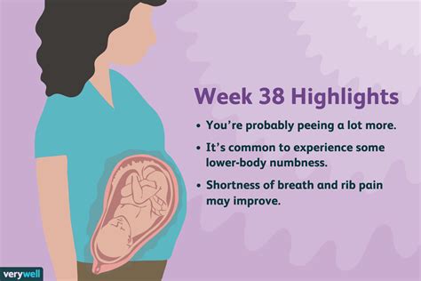 38 Weeks Pregnant Symptoms Baby Development And More