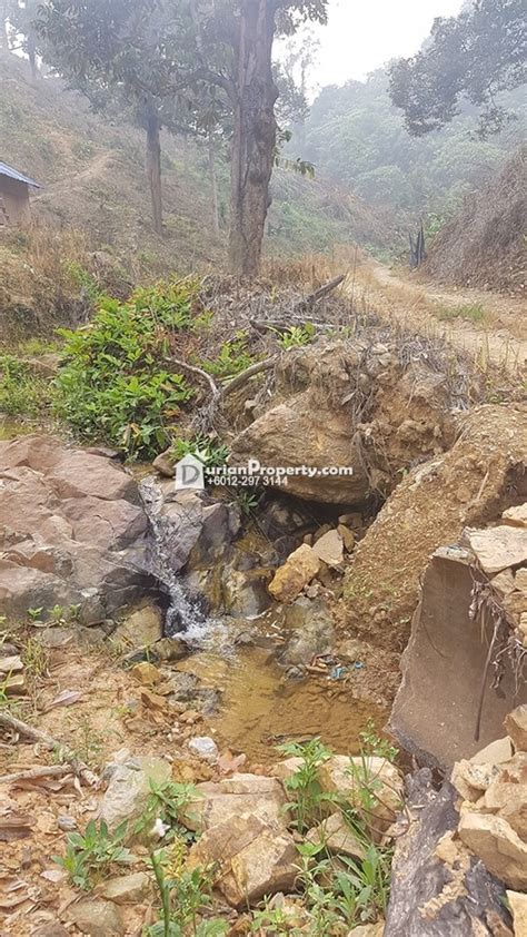 *** malaysia real estate, johor real estate, segamat real. Agriculture Land For Sale at Bentong, Pahang for RM ...