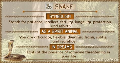 Snake Symbolism Spirit Animal Dream Dream Symbols Snake Meaning