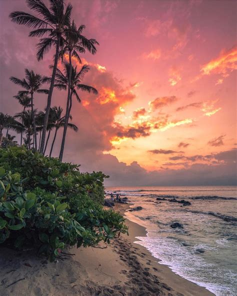 Nothing Quite Like Hawaiian Sunsets 📸 Erubes1 🌴 Hawaii Photos Sunset Amazing Destinations