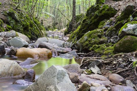 Grey Rocks on River Landscape Photography · Free Stock Photo
