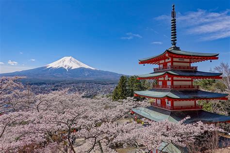 桜と富士山と五重塔 新倉山浅間公園 Yudai写真館 移行しました