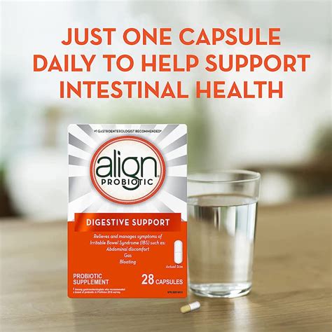 Align Probiotic Digestive Support 28 Capsules Care And Shop