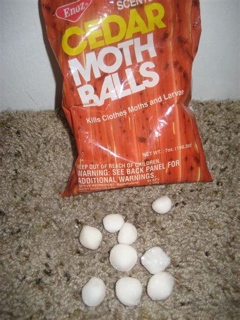 Most animals cannot stand the smell and would withdraw, at least for some time. Mothballs and Cats, Mothballs and Dogs - Mothball Toxicity