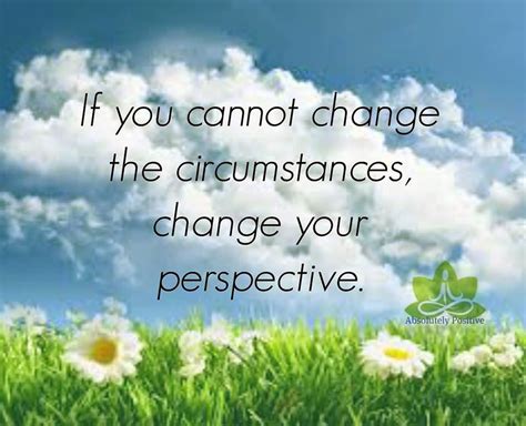 If You Cannot Change The Circumstances Change Your Perspective Quotes