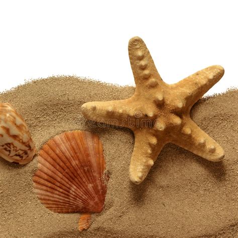 Starfish On Beach Sand Stock Image Image Of Star Blue 66875935