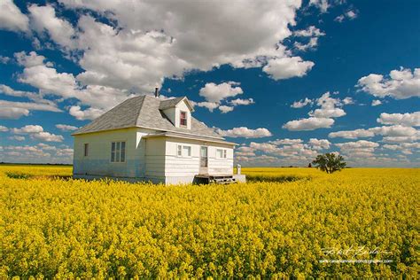 The Canadian Nature Photographer - Prairies and Foothills Portfolio ...