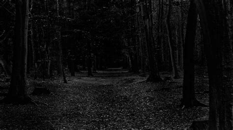 Dark Forest Scaryhorror Intense Ambient Soundmusic Youtube