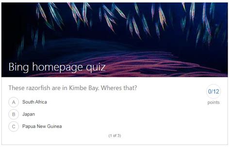 Bing Weekly Quiz Catch The Fun While You Play The Trivia Searchngr