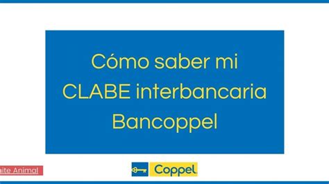 C Mo Saber Mi Clabe Interbancaria Bancoppel