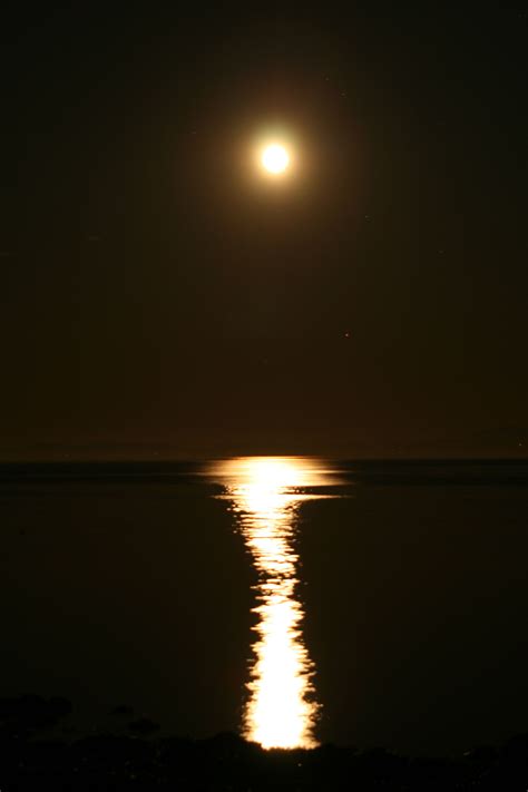 Moonrise And Reflections In The Sea Reflection Autumn Sea Celestial