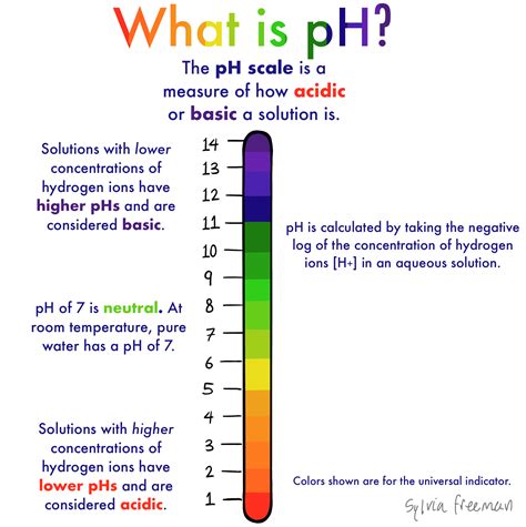 The Science Behind Face Moisturizers Should They Have A Low Ph