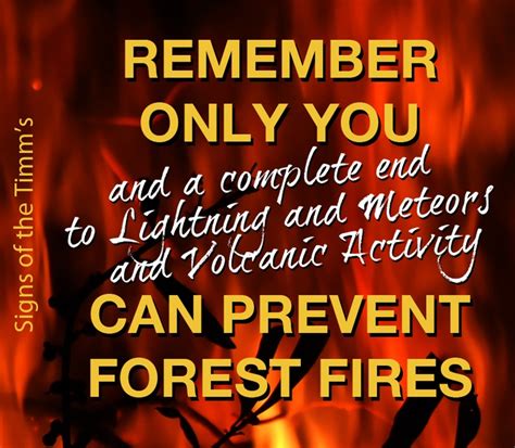 Remember Only You Can Prevent Forest Fires Forest Fires Are