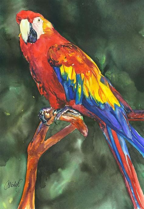 Scarlett Macaw Parrot Painting By Christy Freeman Scarlett Macaw