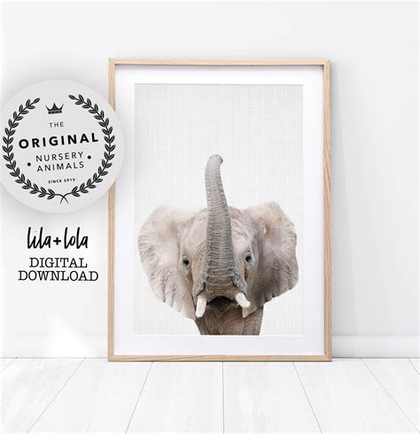 Baby Elephant Print Nursery Wall Art Safari Animal Decor Printable