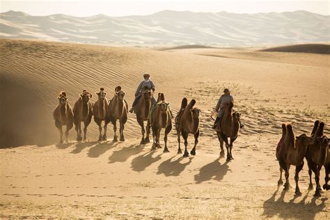 Mongols China And The Silk Road Nomadism Without The Nomads