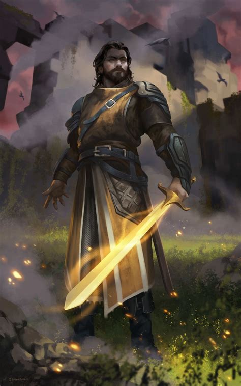 Wearepaladin Light Shield By Johnathan Chong Fantasy Characters