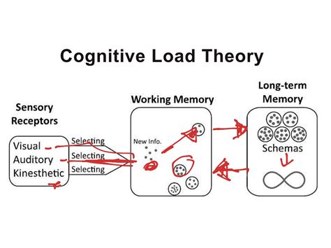 Cognitive Load Theory Assumptions Psychology Showme