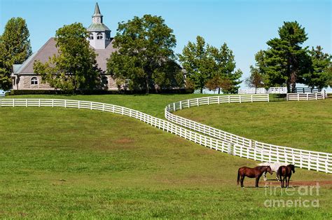 Lexington Horse Farm Photograph By Bob Phillips Fine Art America